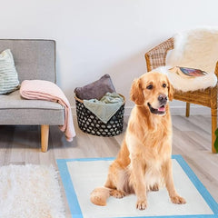 SKY-TOUCH Disposable Absorbent Quick Drying Leak 40 Pieces